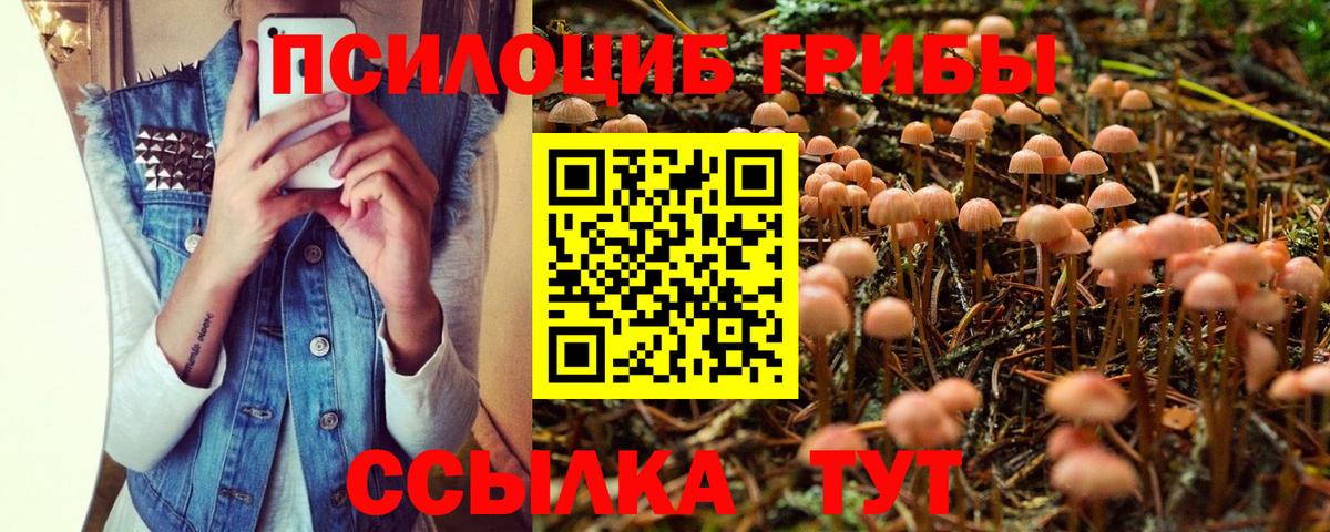 Галлюциногенные грибы мицелий Долгопрудный