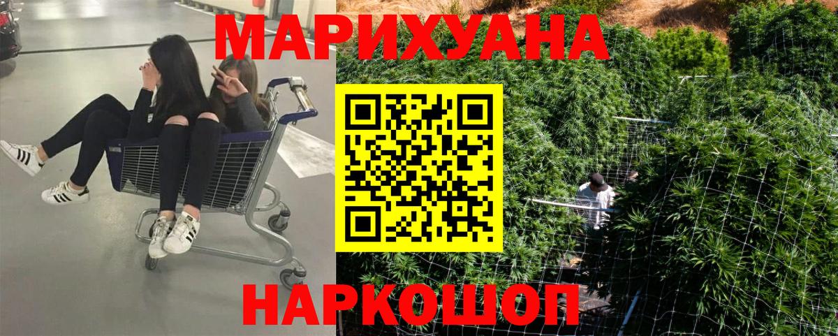 Шишки марихуана конопля Долгопрудный